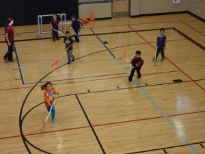 Floor Hockey