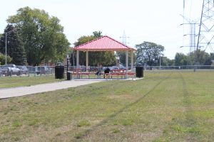 Dog Park 2