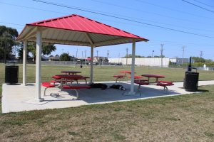 Dog Park 4